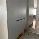 Rzekotka Zielona Dereniowa 60 *